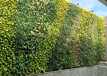 Green Bio Wall