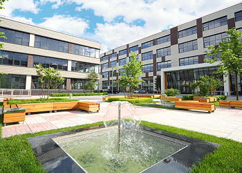 Commercial Landscaping